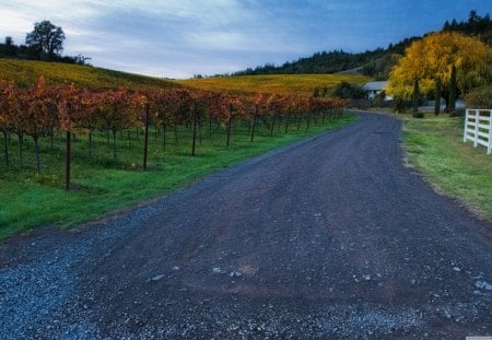 A private Road - road, private, farm, rural