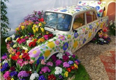 Posy Power - flowers, abstract, colorful, nature, car