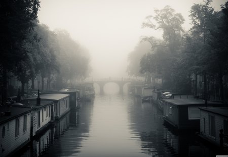 Misty Amsterdam Autumn - fog, autumn, amsterdam, misty