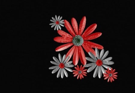 Red and Grey Daisies - daisy, grey, red