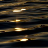 Golden Sunlight Ripples