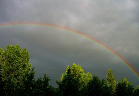 Rainbow - rainbows, nature