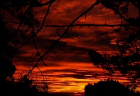 Burning sunrise - romantic, great, sunrise, light, sunrays, bretagne, nice, other, hot, calming, beauty, gold, sunbeam, colors, wonderful, nature, sunset, picture, serenity, amazing, beach, mystic, holidays, forest, reflection, dark, dawn, aurore, red, twilight, colored, color, golden, france, sky, sun, clouds, trees, shape, beautiful, photography, beaches, sea, morning, cool, orange, ocean, tree, black, colorful, awesome, fairy, cloud, peaceful, mysterious, dreamy