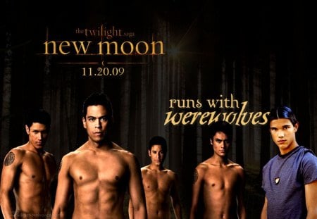 New Moon: Run with the Werewolves - cullen, kristen stewart, taylor lautner, bella, edward, new moon, jacob black, twilight, eclipse, bella swan, breaking dawn, robert pattinson