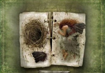 What She's Made Of - scalpel, fairy, nest, wings