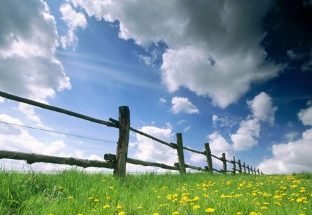 fields - fields, nature