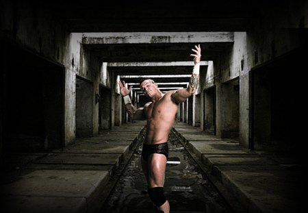 orton - sports, wrestling