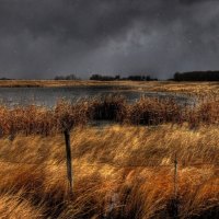 	Snow comes to the Pond