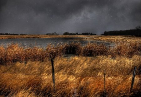 	Snow comes to the Pond - pond, snow