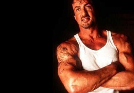 sylvester stallone - actors, people