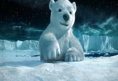 Polar Bear Cub - ice, stars, snow, polar bear, water, night