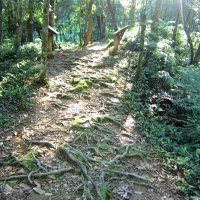 Mountain trail