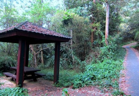 Pavilion - wooden, tree, mountain, pavilion