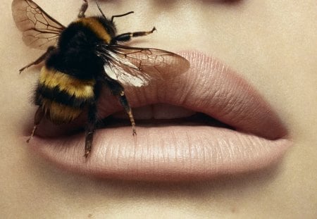 ***  Bee in my mouth ***