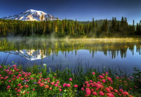 Lake flowers - summer, grass, reflection, crystal, mountain, flowers, shore, riverbank, waters, lake, nice, sky, clouds, trees, beautiful, snowy, mirrored, lovely, peaks, river, nature, clear, floral