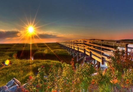 NEW HORIZONS - fields, sunshine, sky, lakes, evening, flowers, horizons, suns, bridges