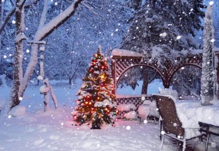 WHITE CHRISTMAS - ice, snowfall, trees, magic, outdoors, christmas, snow, tree, lights