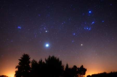 Orion of the South - stargazing, orion, night, constellations, stars, sky