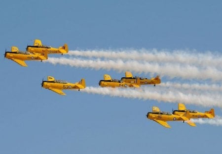 North American Harvard trainers - royal canadian air force, trainer, harvard, rcaf, north american