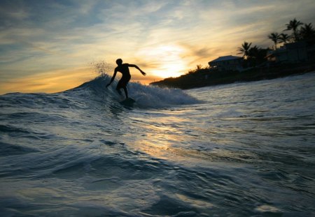 ride that wave - palm trees, sun, clouds, blue sky, wave, sufer, beach hut