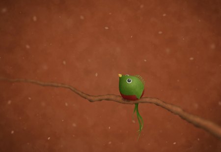 A Little Quetzal - bird, quetzal, ubuntu, cute, little