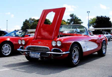 A beautiful Vette - ny, car show, classic car, queensbury, beautiful, red, vette, corvette