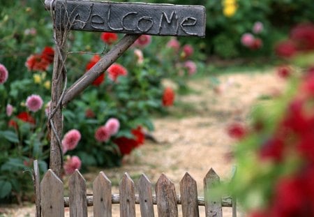 welcome october - flower, red, green, garden