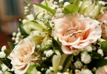 WILL YOU MARRY ME? - wedding, roses, rings, pink