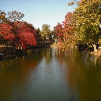 Fall in spring lake nj