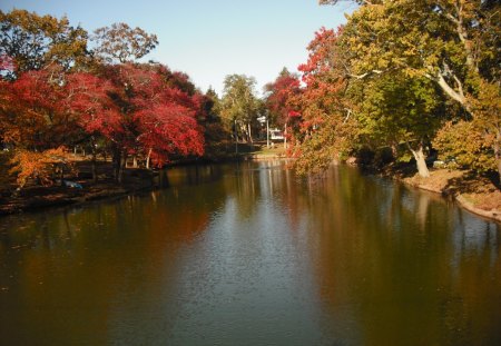 Fall in spring lake nj - fall, lake, nj, park