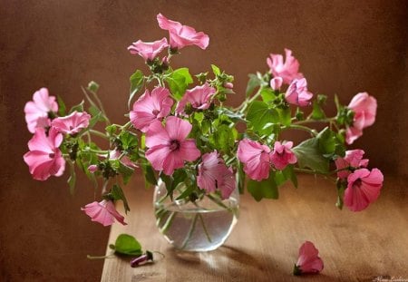 PINK FLOWERS - pot, rose, vert, eau