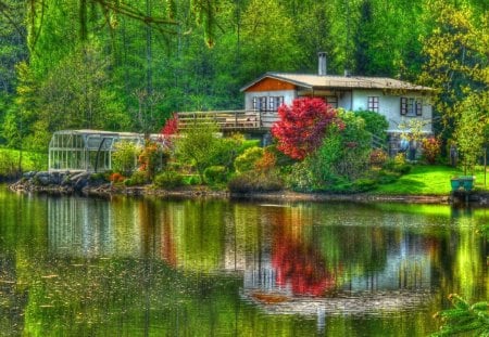 Forest houses - nice, riverbank, water, greenery, clear, mirrored, creek, cottages, crystal, reflection, emerald, river, green, grass, branches, houses, lake, summer, shore, cabins, lovely, nature, beautiful, villas