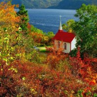 Lovely autumn view