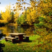 A place for picnic