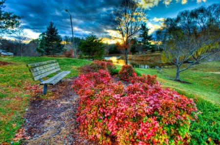 Time for relax - nice, sky, sundown, greenery, colorful, bench, sunset, shine, amazing, pretty, clouds, afternoon, alleys, grass, garden, dusk, rays, light, park, summer, lovely, bushes, nature, glow, floral, red, pink, beautiful, rest, flowers, sunrise