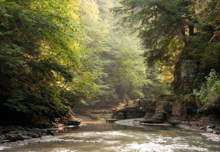 *** The river through the trees *** - natura, drzewa, rzeka, mala