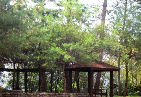 Mountain pavilion - pavilion, mountain, tree, rest