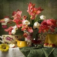 still life with tulips