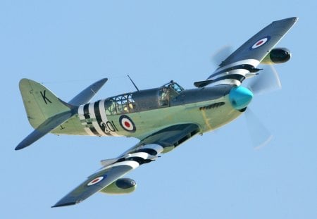 Fairey Firefly Mk. 5