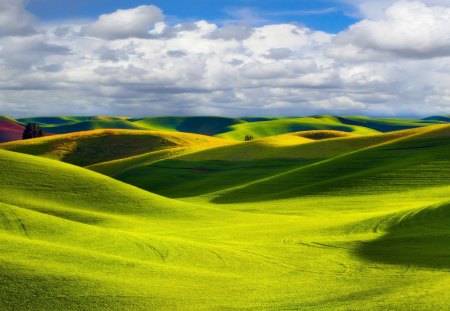 Nature - nature, sky, landscape, field, grass