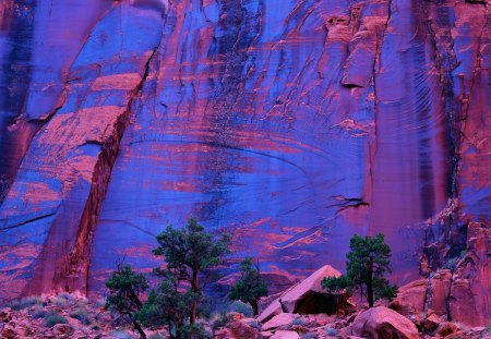 purple canyon - cliff, purple, rocks, canyon, trees