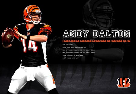 Andy Dalton Cincinnati Bengals qb - sport, 19, 10, 2012, picture, qb