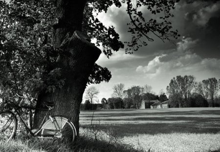 bicycle in the country in black and white - tree, fields, bicycle, clouds