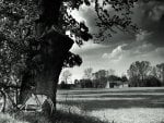 bicycle in the country in black and white