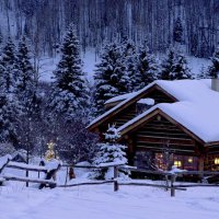 christmas in the woods