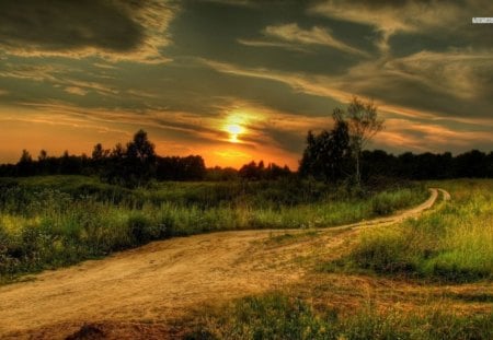 Road to Home - trees, daylight, day, sun, dirt, field, sunset, path, road, nature, forest, clouds, grass, sunrise