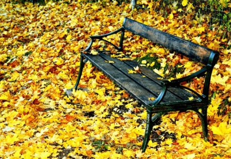 âœºA empty bench in autumn timeâœº - leaves, bench, autumm, day