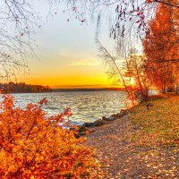 Autumn garden