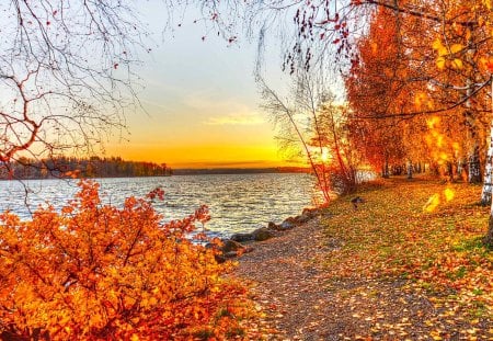 Autumn garden - like, splendor, landscape, grass, photo, magical, leaves, garden, lake, fields, beautiful, colofrul, gold, lovely, sunset, autumn, treees, peaceful