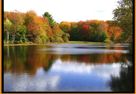 LAKE - foret, vert, rouge, eau